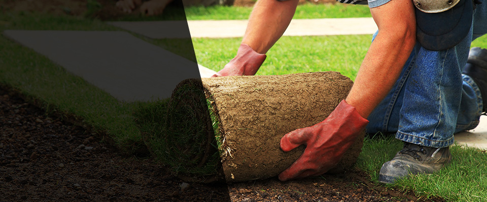 Berne Landscapers